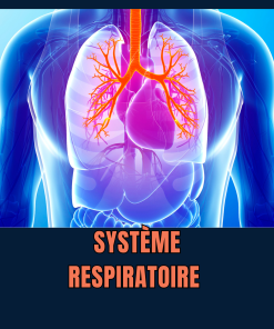 SYSTÈME RESPIRATOIRE